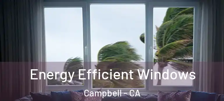  Energy Efficient Windows Campbell - CA
