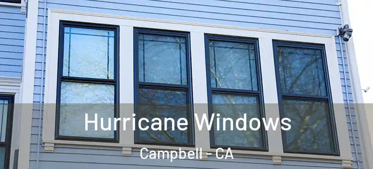  Hurricane Windows Campbell - CA