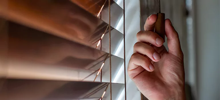 Double Roller Blinds in Campbell, CA