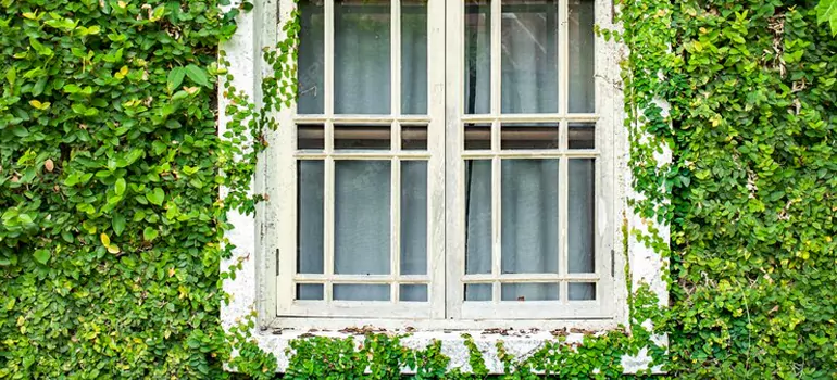 Garden Window Repair Near Me in Campbell, CA