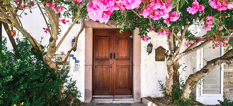 Traditional 4 Panel Internal Doors in Campbell, CA
