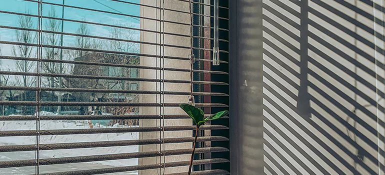 Commercial Window Blinds in Campbell, CA