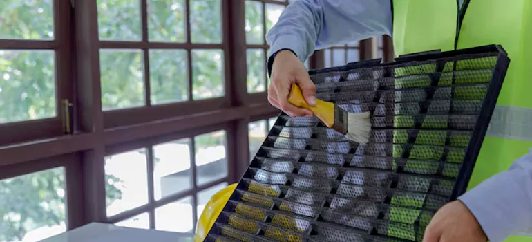 Traditional Window Grille Installation Options in Campbell, CA