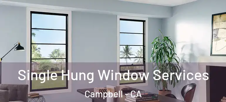  Single Hung Window Services Campbell - CA
