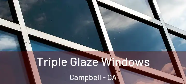  Triple Glaze Windows Campbell - CA
