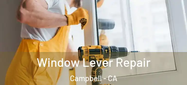  Window Lever Repair Campbell - CA