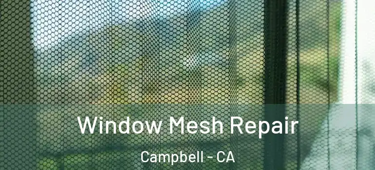  Window Mesh Repair Campbell - CA