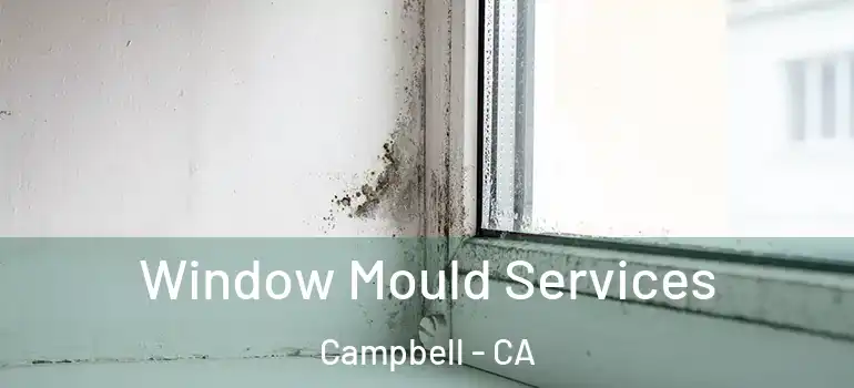  Window Mould Services Campbell - CA